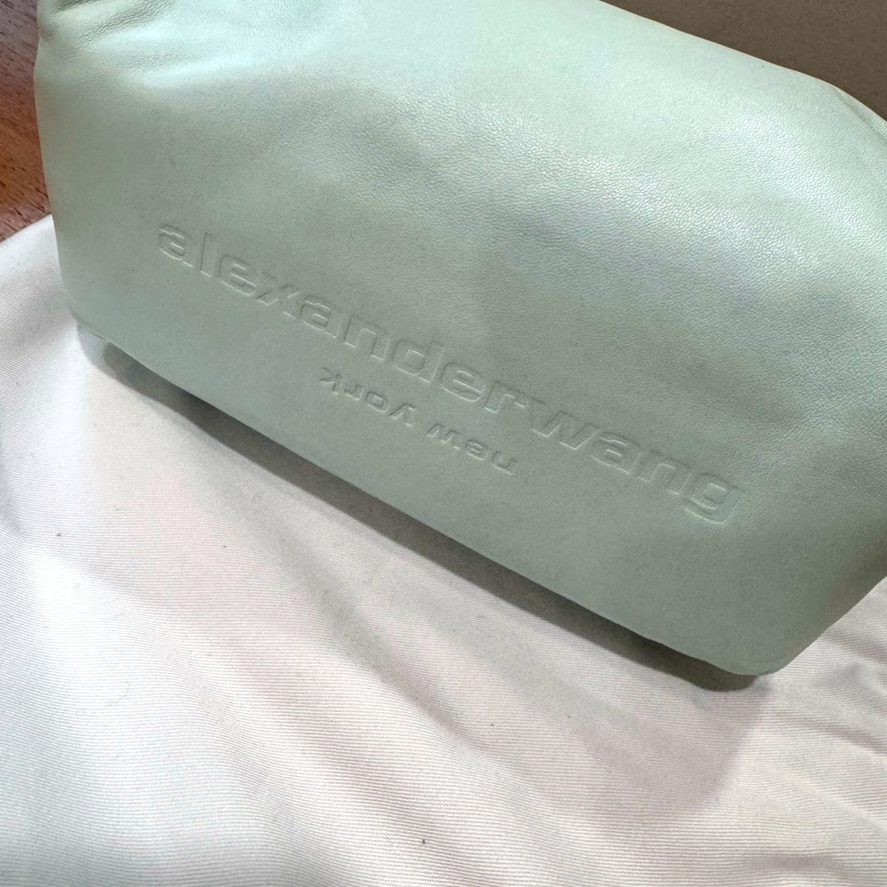 Alexander Wang mint pastel Scrunchie leather bag worn 1x